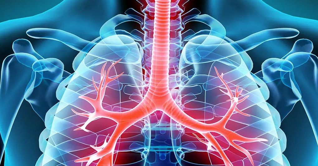 1800x1200 physiology bigbead 1 - دکتر بهرامی نژاد
