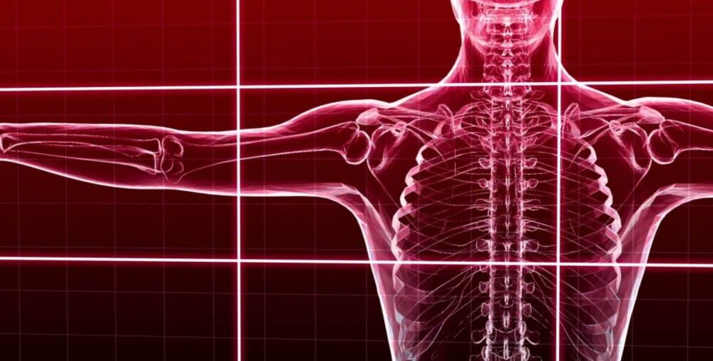 Basic Musculoskeletal Considerations in Occupational Anatomy and Physiology 870x440 1 - دکتر بهرامی نژاد